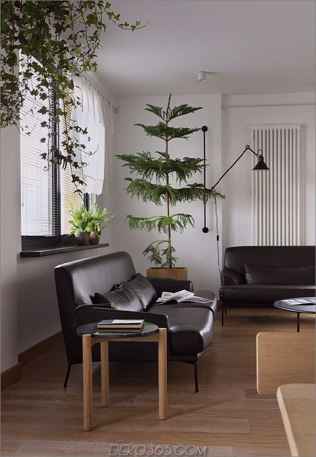 12-Apartment-Pflanzen-Luftreinigung.jpg