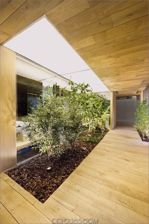 Loft-mit-offen-Layout-Glas-Wände-und-Privatsphäre-Gärten-15.jpg