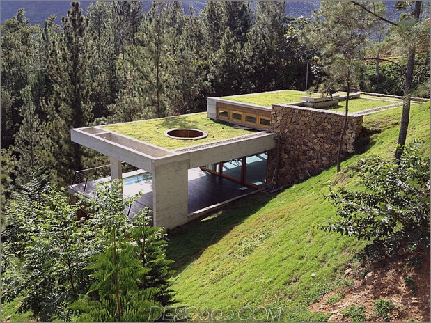 Gras-Dach-Haus-Hang-Hang-Kühlung-4-Profil.jpg