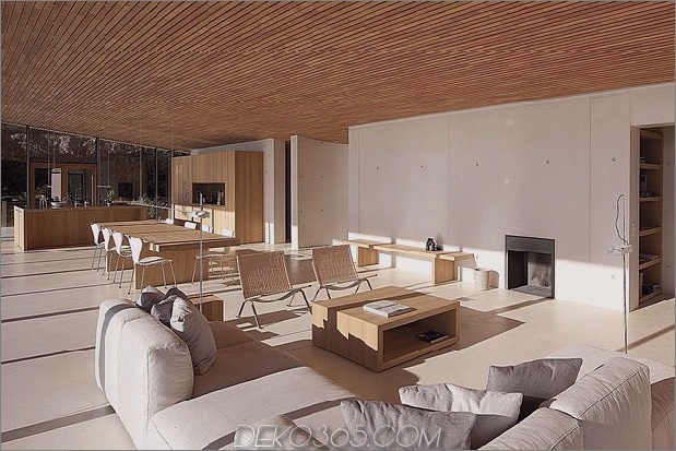 Beton-Glas-Home-Main-Level-Holz-Decke-6-social.jpg