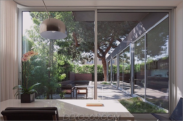 Zeitgenössisches Stahl-Glas-Haus-um-Massiv-Baum-6.jpg