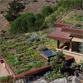 Zeitgenössisches Haus in Mill Valley, Kalifornien - von der Erde inspiriertes Luxushaus am Hang