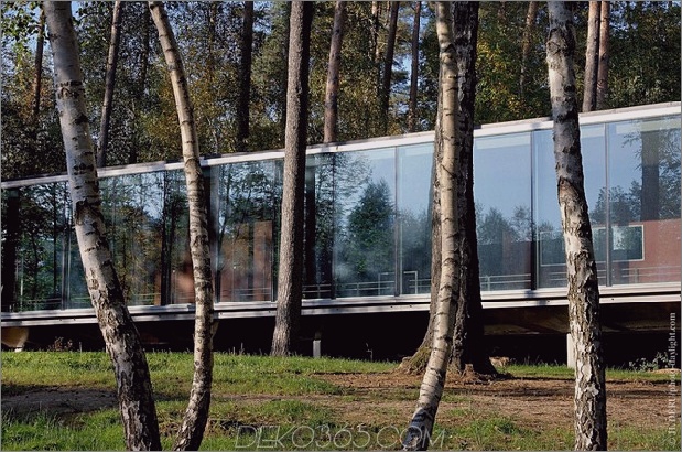Glaspavillon spiegelt weltlichen Kiefernwald 1 thumb 630xauto 34169 Sehen Sie, ob Glass Box House beste Aussicht auf den Wald hat