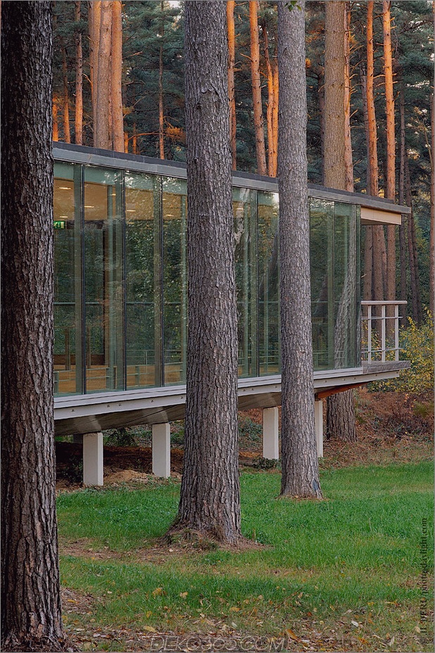 glaspavillon spiegelung weltlicher kiefernwald 2 thumb autox946 34171 Sehen Sie, ob Glass Box House beste Aussicht auf den Wald hat