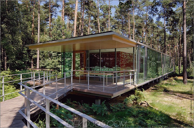 Glas-Pavillon-Spiegelung-säkularer Kiefer-Baum-Wald-4.jpg